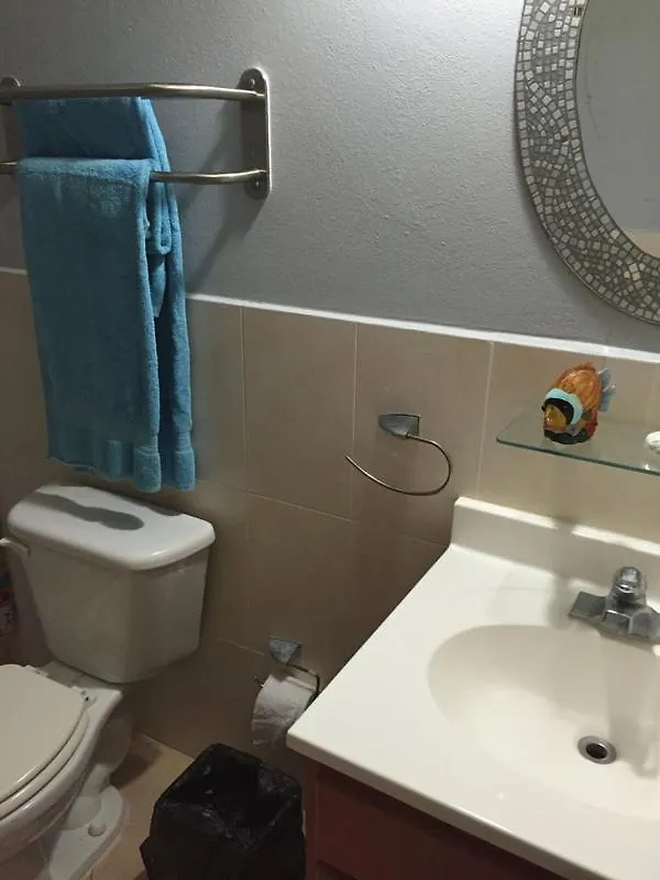 Caribbean Sea View Condo Rincon