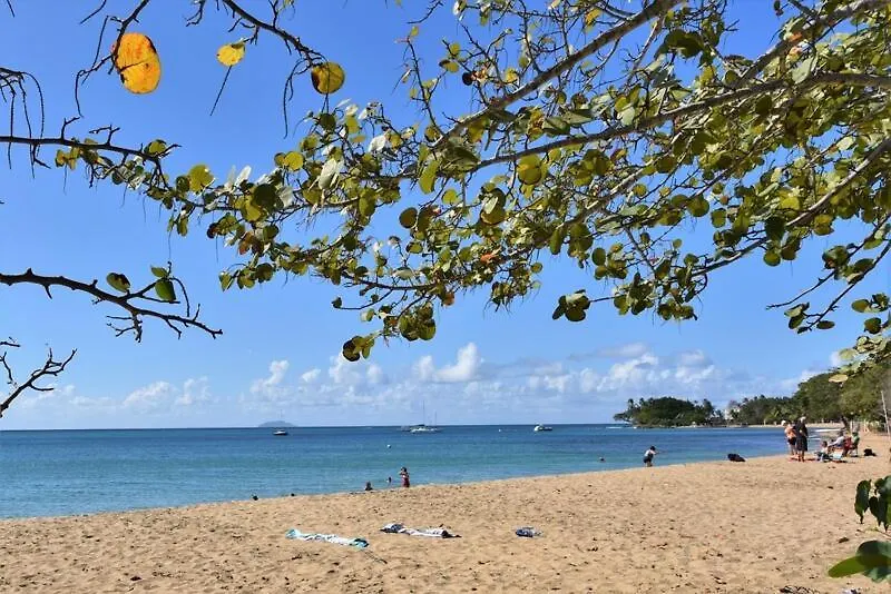 Daire Caribbean Sea View Condo Rincon Porto Riko