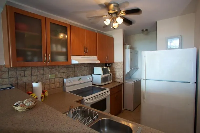 Caribbean Sea View Condo Rincon